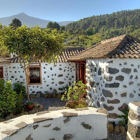 Holidaynorthtenerife Montiel Icod De Los Vinos